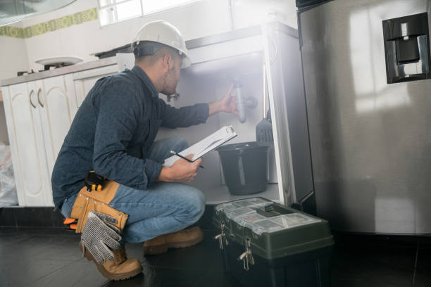 Best Emergency Plumbing Repair  in De Soto, IL