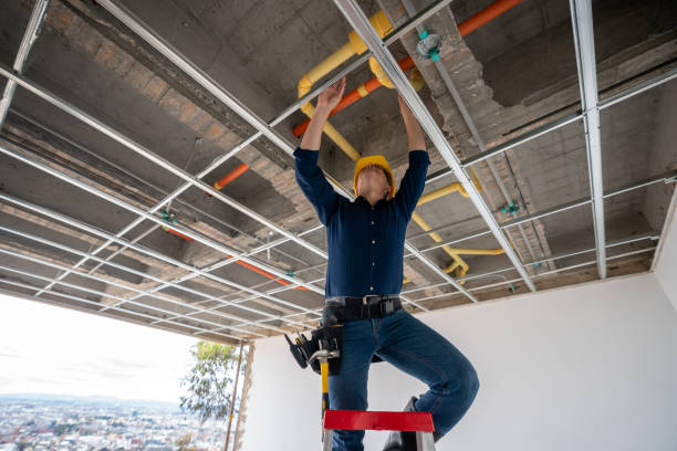 Best Best Plumbers Near Me  in De Soto, IL