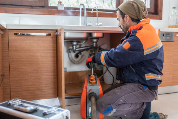 Best Residential Plumbing Services  in De Soto, IL