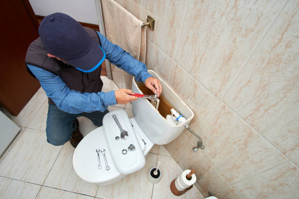 Best Clogged Drain Plumber  in De Soto, IL