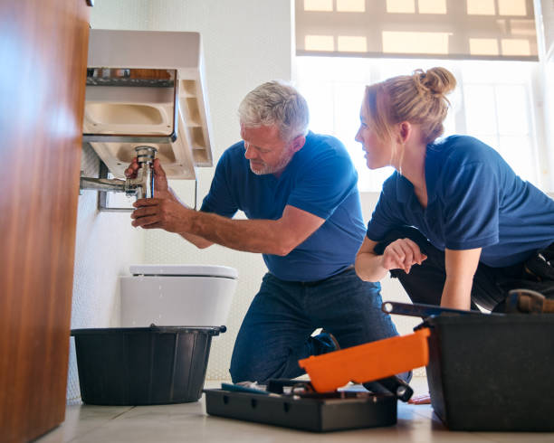 Best Drain Cleaning Services  in De Soto, IL